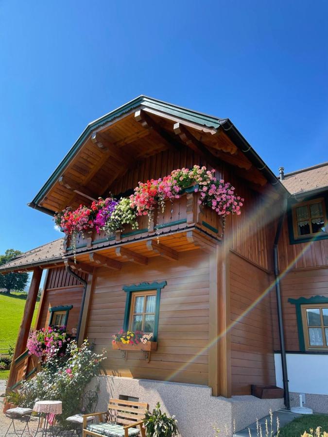 Appartement Landhaeusl ชลัดมิง ภายนอก รูปภาพ